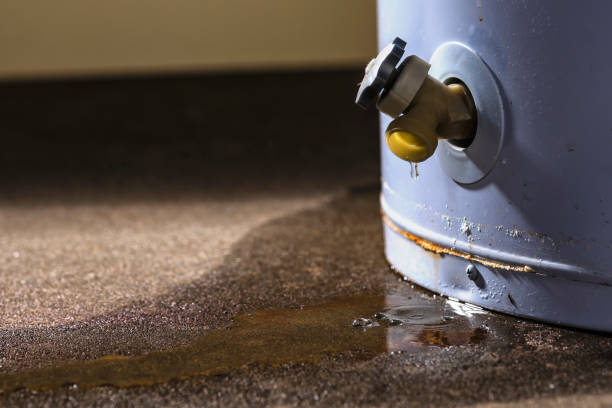 Best Residential Water Damage Restoration in USA